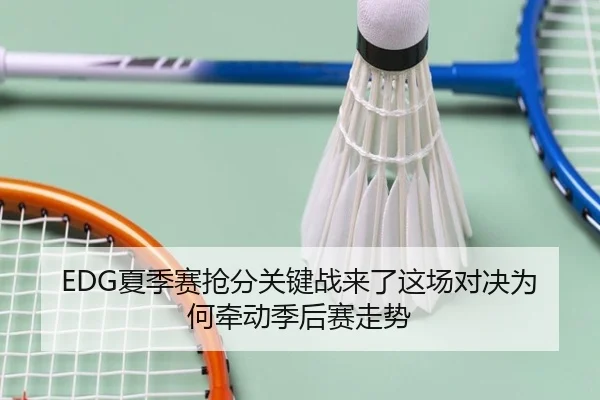 EDG夏季赛抢分关键战来了这场对决为何牵动季后赛走势 | xingkongtiyuapp